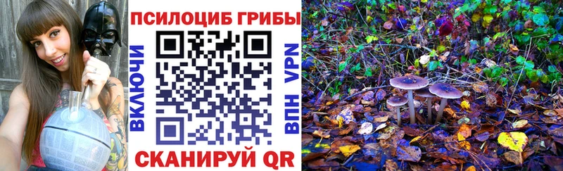 Галлюциногенные грибы Psilocybine cubensis купить закладку Трёхгорный